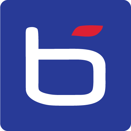 Bluechip Infotech New Zealand Limited Logo